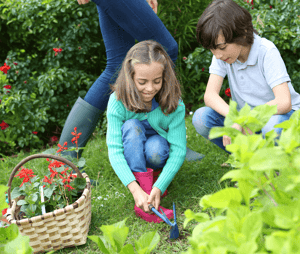 Prepping For Spring: Outside Your Home Kids Planting image