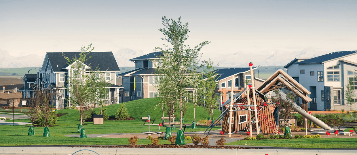 Calgary Community Focus Harmony