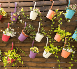 6 Summer Décor Ideas to Add to Your Backyard Hanging Pots image