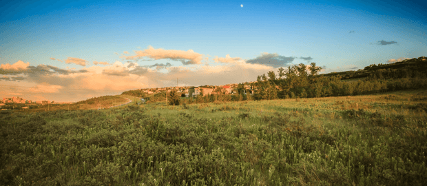 Calgary Community Focus: The Point in Patterson Heights Featured image
